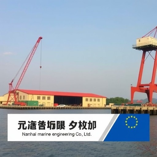 中天科技全资子公司拟投资2.91亿设立南海海洋工程有限公司 持股51%(图1) 中天科技全资子公司拟投资2.91亿设立南海海洋工程有限公司 持股51%(图1)