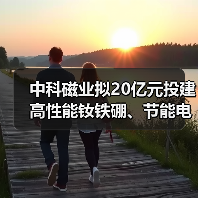 中科磁业拟20亿元投建高性能钕铁硼、节能电机磁瓦及粘结磁项目(图4) 中科磁业拟20亿元投建高性能钕铁硼、节能电机磁瓦及粘结磁项目(图4)