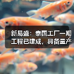 新易盛：泰国工厂一期工程已建成，具备量产条件（图1）