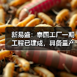 新易盛：泰国工厂一期工程已建成，具备量产条件（图4）