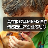 高性能硅基MEMS惯性传感器生产企业芯动联科上交所科创板上市（图4）
