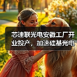 芯速联光电安徽工厂开业投产,加速硅基光电子在光模块行业的应用(图4) 芯速联光电安徽工厂开业投产,加速硅基光电子在光模块行业的应用(图4)