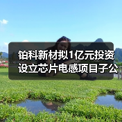 铂科新材拟1亿元投资设立芯片电感项目子公司（图3）