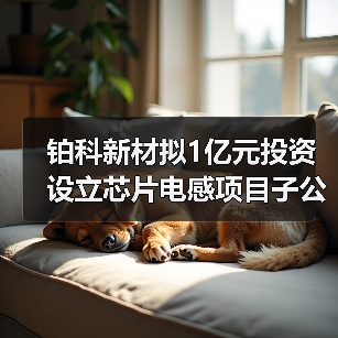 铂科新材拟1亿元投资设立芯片电感项目子公司（图4）