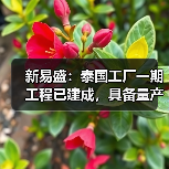 新易盛：泰国工厂一期工程已建成，具备量产条件（图4）