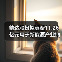 精达股份拟募资11.26亿元用于新能源产业铜基电磁线等项目（图2）