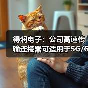 得润电子：公司高速传输连接器可适用于5G/6G通讯网络（图3）