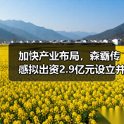 加快产业布局，森霸传感拟出资2.9亿元设立并购基金（图3）
