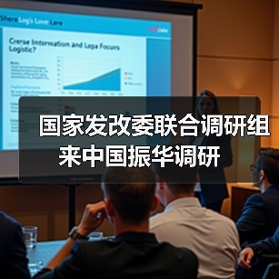 国家发改委联合调研组来中国振华调研（图3）