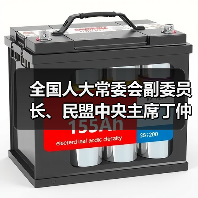 全国人大常委会副委员长、民盟中央主席丁仲礼到国光电器调研（图3）