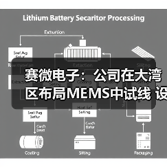 赛微电子:公司在大湾区布局MEMS中试线 设计产能为3000片晶圆/月(图4) 赛微电子:公司在大湾区布局MEMS中试线 设计产能为3000片晶圆/月(图4)