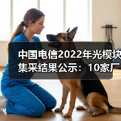 中国电信2022年光模块集采结果公示：10家厂商中标（图2）