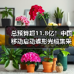 总预算超11.8亿！中国移动启动蝶形光缆集采（图3）