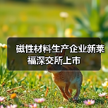 磁性材料生产企业新莱福深交所上市（图1）