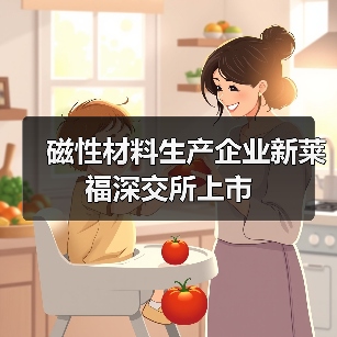 磁性材料生产企业新莱福深交所上市（图4）