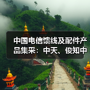 中国电信馈线及配件产品集采：中天、俊知中标两标包（图3）