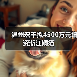 温州宏丰拟4500万元增资浙江铜箔（图4）