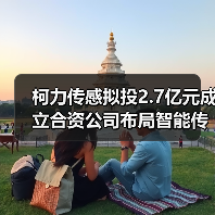 柯力传感拟投2.7亿元成立合资公司布局智能传感产业链（图4）