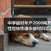 中宇磁材年产2000吨高性能钕铁硼永磁材料项目开工（图3）
