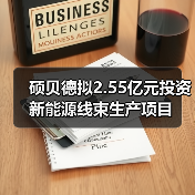 硕贝德拟2.55亿元投资新能源线束生产项目（图4）