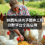 陕西先进光子器件工程创新平台全面启用(图2) 陕西先进光子器件工程创新平台全面启用(图2)