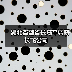湖北省副省长陈平调研长飞公司(图4) 湖北省副省长陈平调研长飞公司(图4)