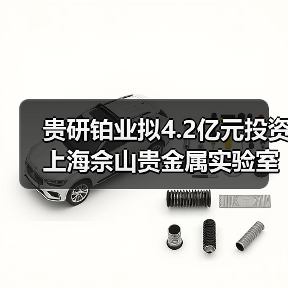贵研铂业拟4.2亿元投资上海佘山贵金属实验室创新平台及新材料产业园（图4）