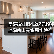 贵研铂业拟4.2亿元投资上海佘山贵金属实验室创新平台及新材料产业园（图2）