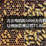 方正电机拟5000万元转让绿脉欧洲公司71.88%股权（图2）