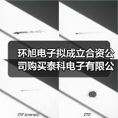环旭电子拟成立合资公司购买泰科电子有限公司汽车无线业务(图3) 环旭电子拟成立合资公司购买泰科电子有限公司汽车无线业务(图3)