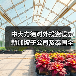 中大力德对外投资设立新加坡子公司及泰国全资孙公司（图2）