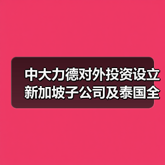 中大力德对外投资设立新加坡子公司及泰国全资孙公司（图4）