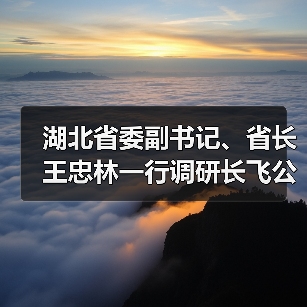 湖北省委副书记、省长王忠林一行调研长飞公司(图2) 湖北省委副书记、省长王忠林一行调研长飞公司(图2)