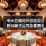 中大力德对外投资设立新加坡子公司及泰国全资孙公司（图3）