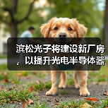 滨松光子将建设新厂房,以提升光电半导体器件的后道工序能力(图3) 滨松光子将建设新厂房,以提升光电半导体器件的后道工序能力(图3)