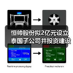 恒帅股份拟2亿元设立泰国子公司并投资建设泰国生产基地（图3）