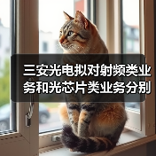 三安光电拟对射频类业务和光芯片类业务分别进行整合(图3) 三安光电拟对射频类业务和光芯片类业务分别进行整合(图3)