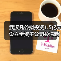 武汉凡谷拟投资1.5亿元设立全资子公司杉湾新陶瓷(图3) 武汉凡谷拟投资1.5亿元设立全资子公司杉湾新陶瓷(图3)