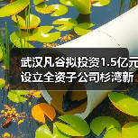 武汉凡谷拟投资1.5亿元设立全资子公司杉湾新陶瓷(图4) 武汉凡谷拟投资1.5亿元设立全资子公司杉湾新陶瓷(图4)