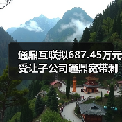 通鼎互联拟687.45万元受让子公司通鼎宽带剩余1.27%股权（图4）