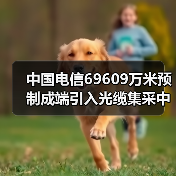 中国电信69609万米预制成端引入光缆集采中标公示：12家厂商入围（图3）
