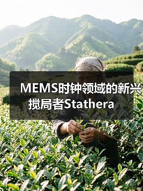 MEMS时钟领域的新兴搅局者Stathera(图3) MEMS时钟领域的新兴搅局者Stathera(图3)