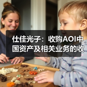 仕佳光子:收购AOI中国资产及相关业务的收购协议被终止(图4) 仕佳光子:收购AOI中国资产及相关业务的收购协议被终止(图4)