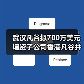 武汉凡谷拟700万美元增资子公司香港凡谷并在越南设立子公司（图2）