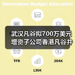 武汉凡谷拟700万美元增资子公司香港凡谷并在越南设立子公司（图4）
