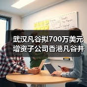 武汉凡谷拟700万美元增资子公司香港凡谷并在越南设立子公司（图3）
