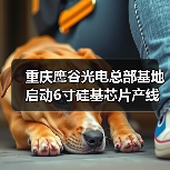 重庆鹰谷光电总部基地启动6寸硅基芯片产线建设(图4) 重庆鹰谷光电总部基地启动6寸硅基芯片产线建设(图4)