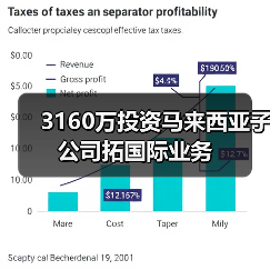3160万投资马来西亚子公司拓国际业务(图3) 3160万投资马来西亚子公司拓国际业务(图3)