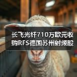 长飞光纤710万欧元收购RFS德国苏州射频股权(图1) 长飞光纤710万欧元收购RFS德国苏州射频股权(图1)