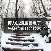 柯力投资威勤电子,布局多传感融合技术平台(图4) 柯力投资威勤电子,布局多传感融合技术平台(图4)